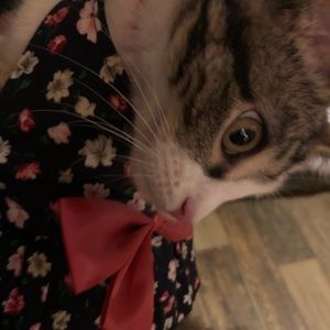 Meet your Posher, Grace